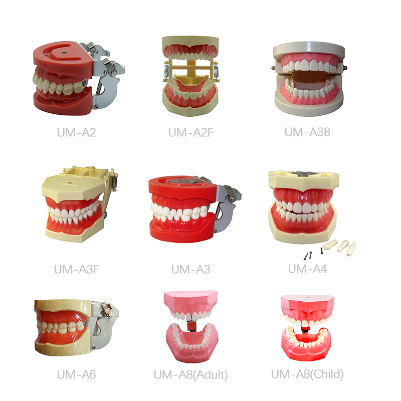 dental surgery microscope  03