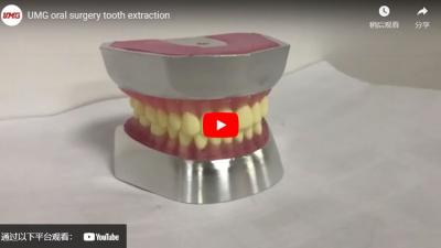 UMG Oral Surgery Tooth Extraction robot