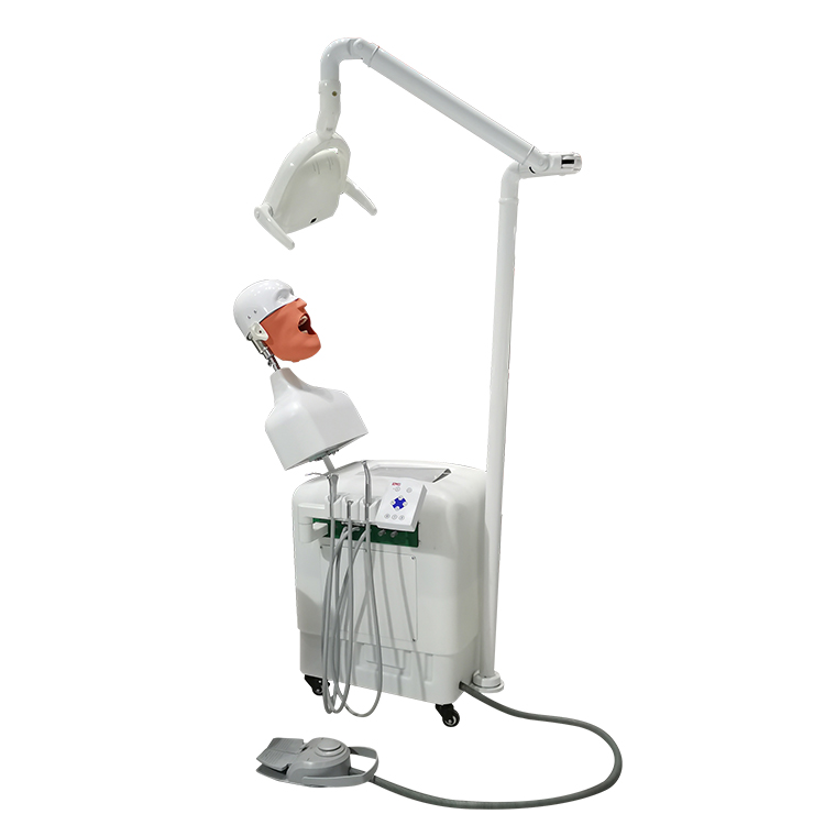 UMG-VI Mini Dental Simulator